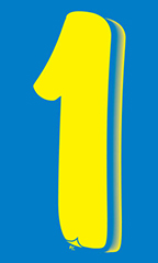 11 ½ inch Windshield Numbers And Symbols - Yellow/Blue