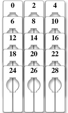 Rectangular Size Dividers for Hangrail - Women's Variety Pack