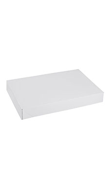 White Apparel Boxes