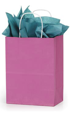 Medium Magenta Paper Shopping Bags - Case of 100