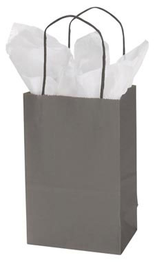 Small Storm Gray Paper Shopping Bag