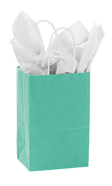 Small Turquoise Paper Shopping Bags - Case of 100