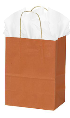 Orange Kraft Paper Shopping Bags - 8" x  4" x 10"