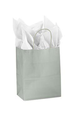 Medium Glossy Silver Paper Shopping Bags - Case of 100