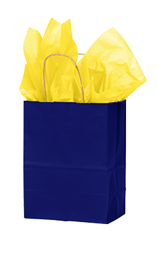Medium - Navy Paper Shopping Bags - Case of 100