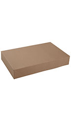 19 x 12 x 3 inch Apparel Boxes