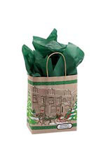 Medium (Cub) - Street Scene Paper Shopping Bags - Case of 100