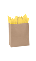 Extra Large (Traveler) - Natural Kraft Paper Shopping Bags - Case of 250